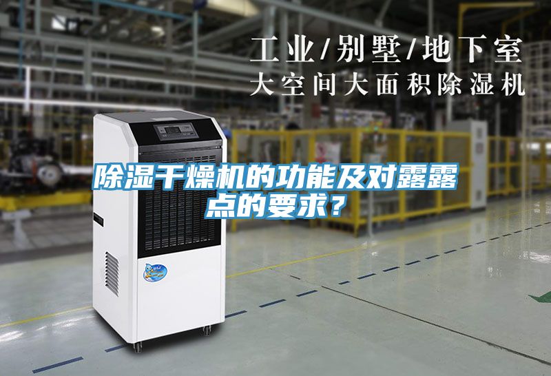 亚洲人成综合第一网站 除湿干燥机的功能及对露露点的要求？