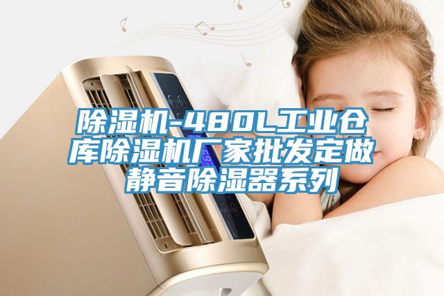 亚洲乱码一区二区三区 除湿机-480L工业仓库除湿机厂家批发定做 静音除湿器系列