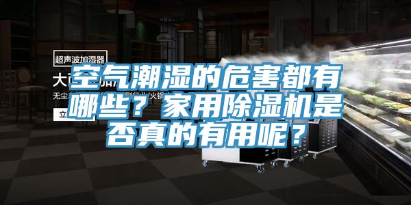 亚洲欧美一级特黄大片 空气潮湿的危害都有哪些？家用除湿机是否真的有用呢？