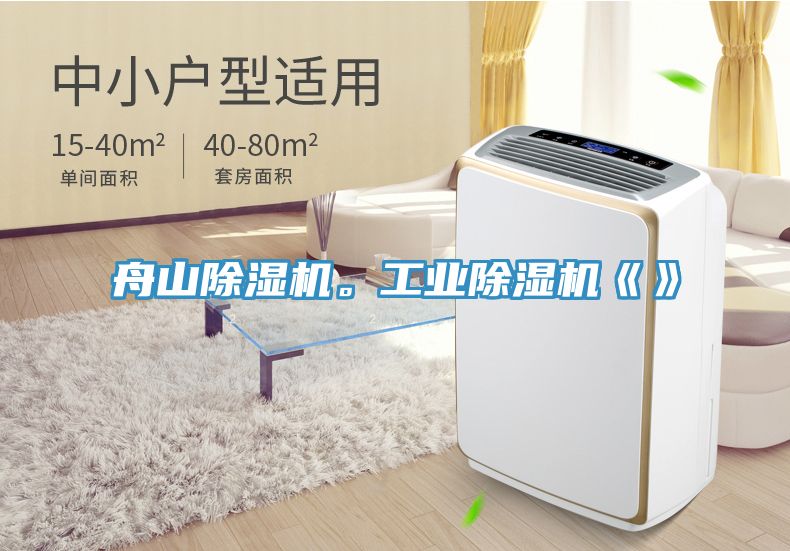 亚洲人成综合第一网站 舟山除湿机。工业除湿机《》