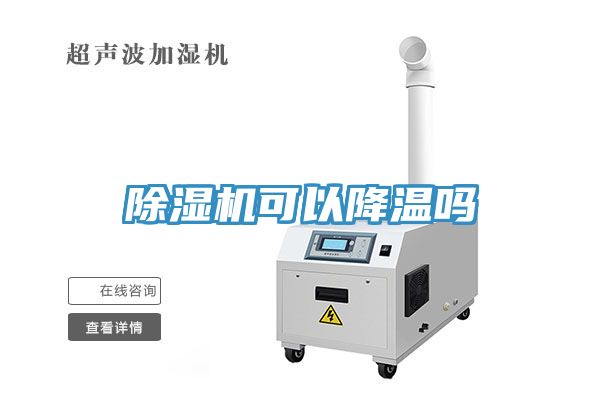 亚洲欧美一级特黄大片 除湿机可以降温吗