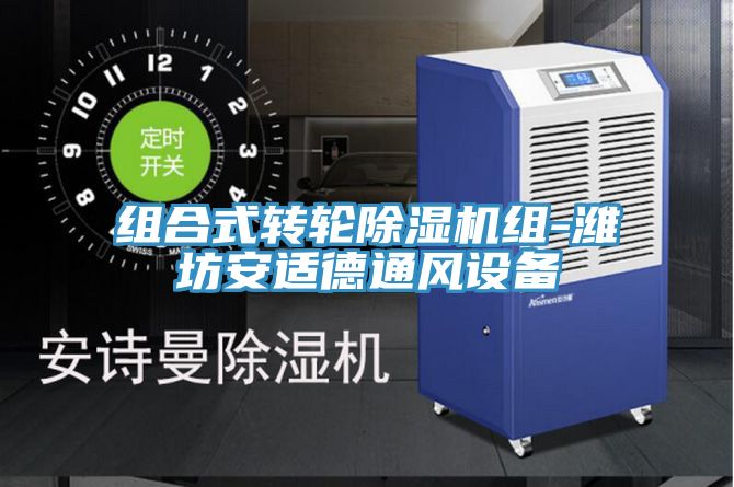亚洲人成综合第一网站 组合式转轮除湿机组-潍坊安适德通风设备
