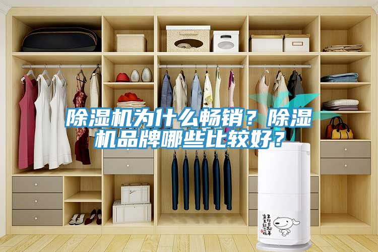 亚洲人成综合第一网站 除湿机为什么畅销？除湿机品牌哪些比较好？