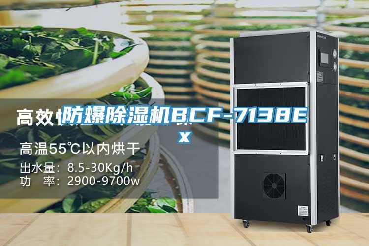 亚洲欧美一级特黄大片 防爆除湿机BCF-7138Ex