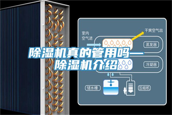 亚洲人成综合第一网站 除湿机真的管用吗—除湿机介绍