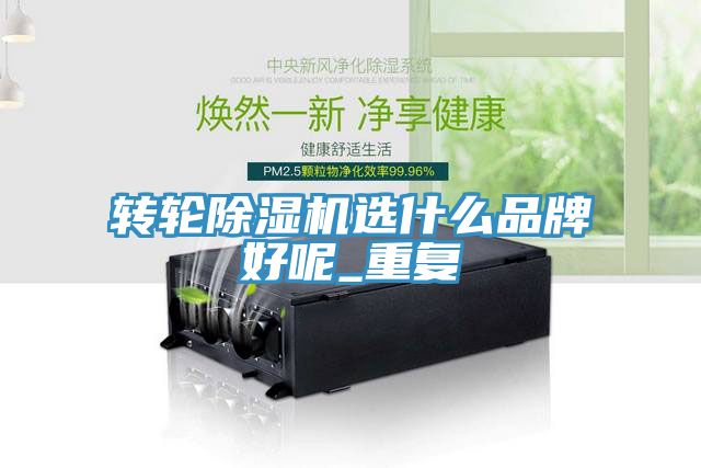 亚洲人成综合第一网站 转轮除湿机选什么品牌好呢_重复