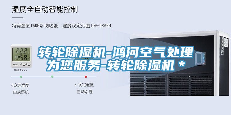 亚洲乱码一区二区三区 转轮除湿机-鸿河空气处理为您服务-转轮除湿机＊