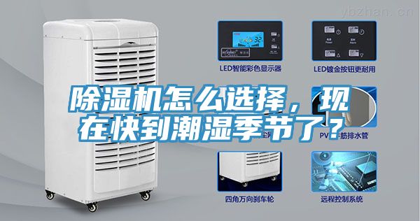 亚洲欧美一级特黄大片 除湿机怎么选择，现在快到潮湿季节了？
