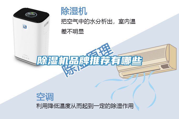 亚洲欧美一级特黄大片 除湿机品牌推荐有哪些