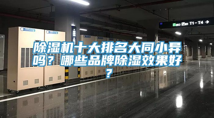 亚洲欧美一级特黄大片 除湿机十大排名大同小异吗？哪些品牌除湿效果好？