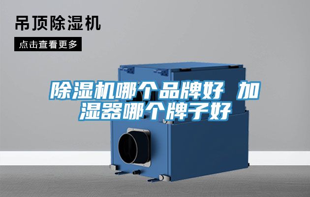 亚洲乱码一区二区三区 除湿机哪个品牌好 加湿器哪个牌子好