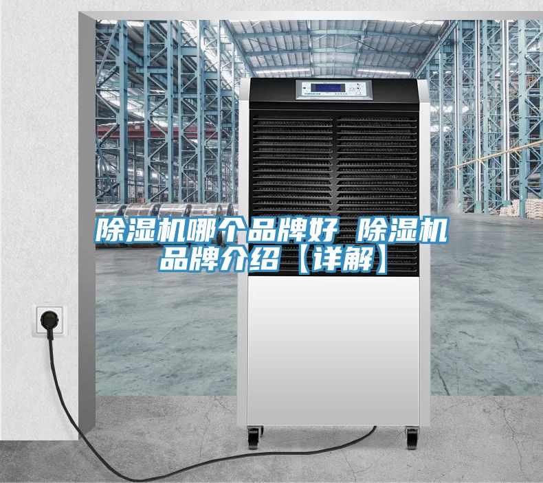 亚洲欧美一级特黄大片 除湿机哪个品牌好 除湿机品牌介绍【详解】