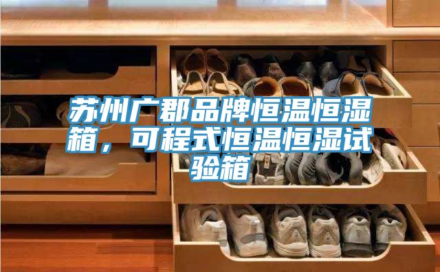 亚洲人成综合第一网站 苏州广郡品牌恒温恒湿箱，可程式恒温恒湿试验箱