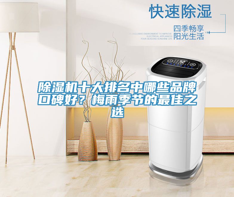 亚洲乱码一区二区三区 除湿机十大排名中哪些品牌口碑好？梅雨季节的最佳之选