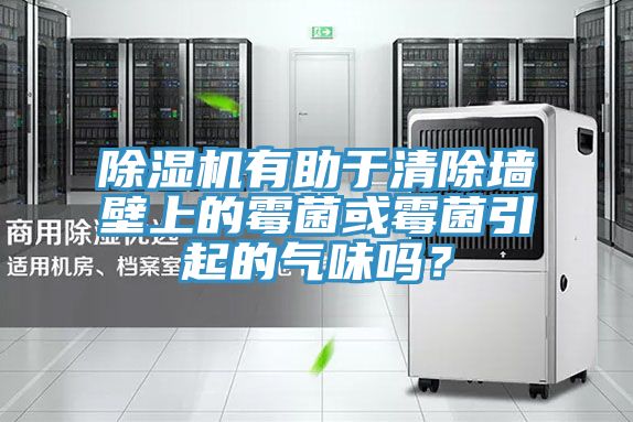 亚洲人成综合第一网站 除湿机有助于清除墙壁上的霉菌或霉菌引起的气味吗？