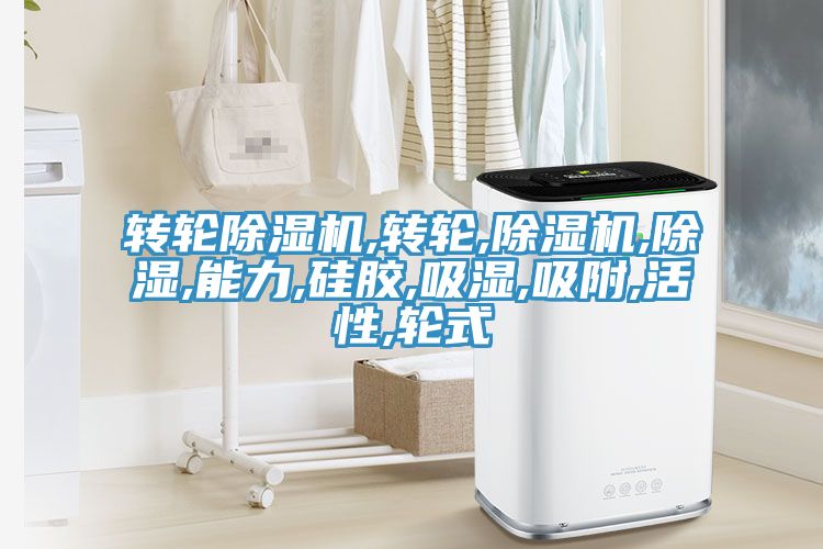 转轮除湿机,转轮,除湿机,除湿,能力,硅胶,吸湿,吸附,活性,轮式