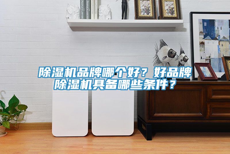 亚洲乱码一区二区三区 除湿机品牌哪个好？好品牌除湿机具备哪些条件？