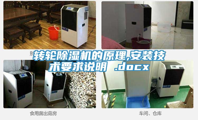 亚洲人成综合第一网站 转轮除湿机的原理,安装技术要求说明 .docx