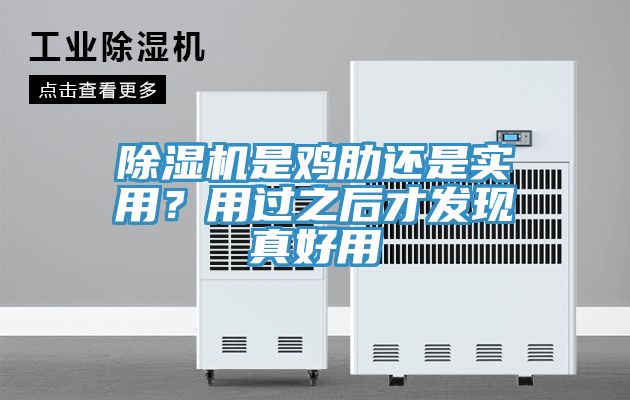 亚洲人成综合第一网站 除湿机是鸡肋还是实用？用过之后才发现真好用