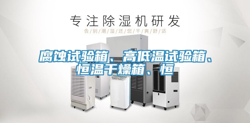 亚洲人成综合第一网站 腐蚀试验箱、高低温试验箱、恒温干燥箱、恒