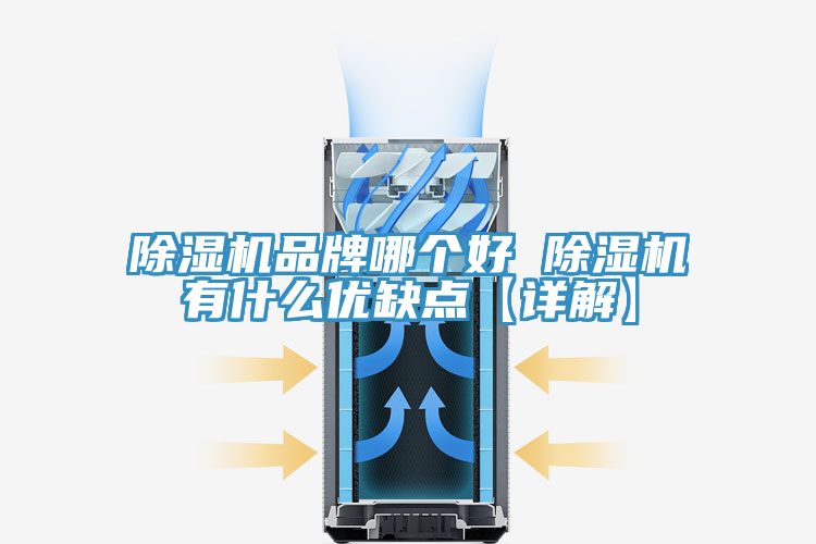 亚洲乱码一区二区三区 除湿机品牌哪个好 除湿机有什么优缺点【详解】