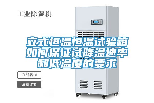 亚洲人成综合第一网站 立式恒温恒湿试验箱如何保证试降温速率和低温度的要求