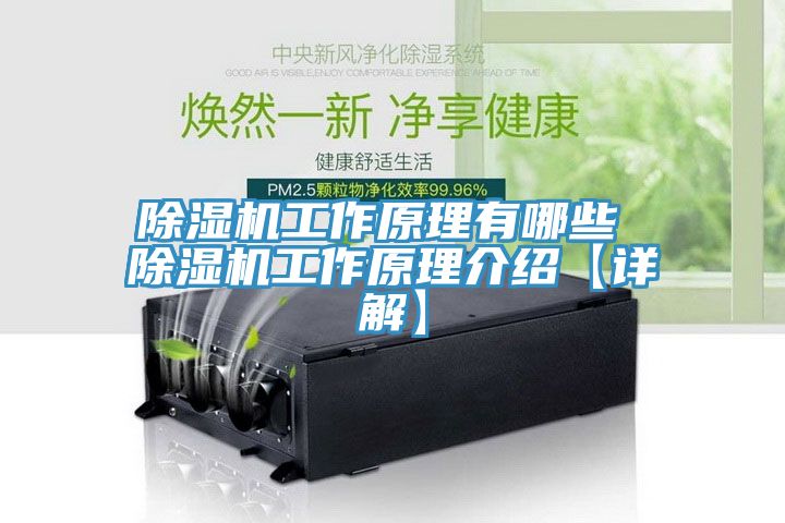亚洲欧美一级特黄大片 除湿机工作原理有哪些 除湿机工作原理介绍【详解】