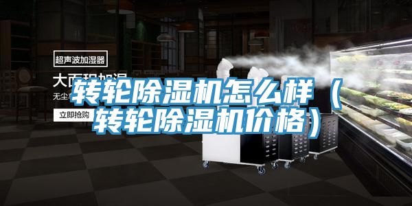 亚洲人成综合第一网站 转轮除湿机怎么样（转轮除湿机价格）