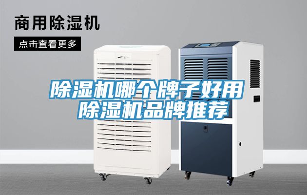 亚洲欧美一级特黄大片 除湿机哪个牌子好用 除湿机品牌推荐