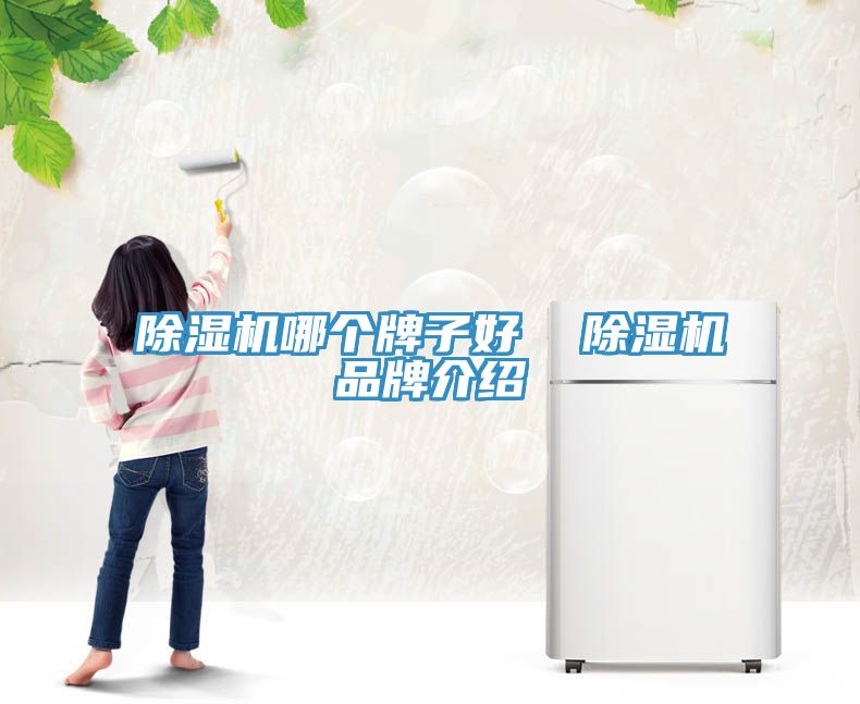 亚洲人成综合第一网站 除湿机哪个牌子好  除湿机品牌介绍