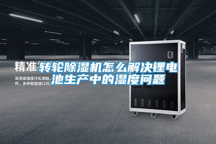 亚洲欧美一级特黄大片 转轮除湿机怎么解决锂电池生产中的湿度问题