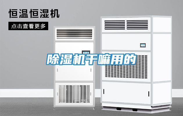 亚洲欧美一级特黄大片 除湿机干嘛用的