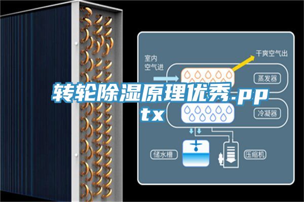 亚洲欧美一级特黄大片 转轮除湿原理优秀.pptx
