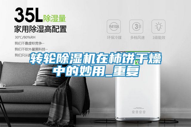 亚洲乱码一区二区三区 转轮除湿机在柿饼干燥中的妙用_重复
