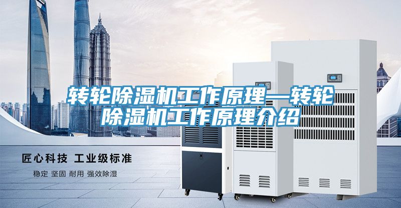 亚洲人成综合第一网站 转轮除湿机工作原理—转轮除湿机工作原理介绍