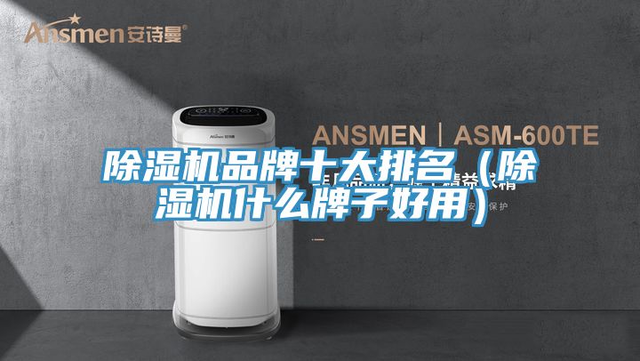 亚洲乱码一区二区三区 除湿机品牌十大排名（除湿机什么牌子好用）