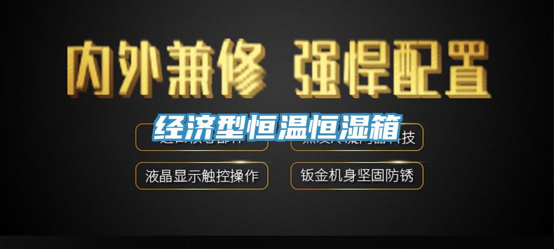 亚洲欧美一级特黄大片 经济型恒温恒湿箱