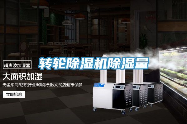 亚洲乱码一区二区三区 转轮除湿机除湿量
