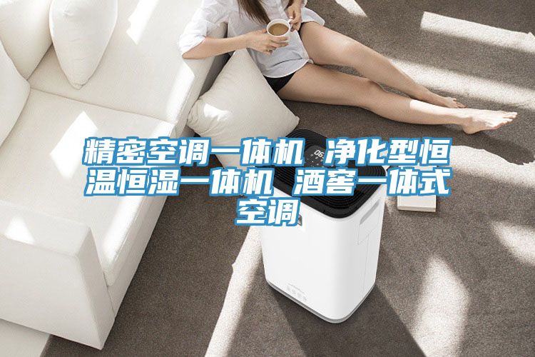 亚洲人成综合第一网站 精密空调一体机 净化型恒温恒湿一体机 酒窖一体式空调