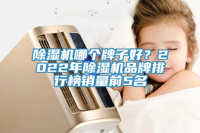 亚洲欧美一级特黄大片 除湿机哪个牌子好？2022年除湿机品牌排行榜销量前5名