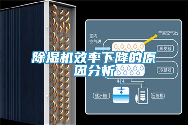 亚洲欧美一级特黄大片 除湿机效率下降的原因分析