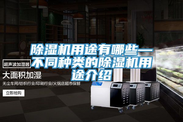亚洲欧美一级特黄大片 除湿机用途有哪些—不同种类的除湿机用途介绍