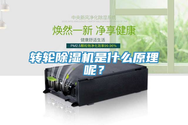 亚洲乱码一区二区三区 转轮除湿机是什么原理呢？