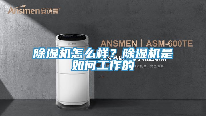 亚洲乱码一区二区三区 除湿机怎么样？除湿机是如何工作的