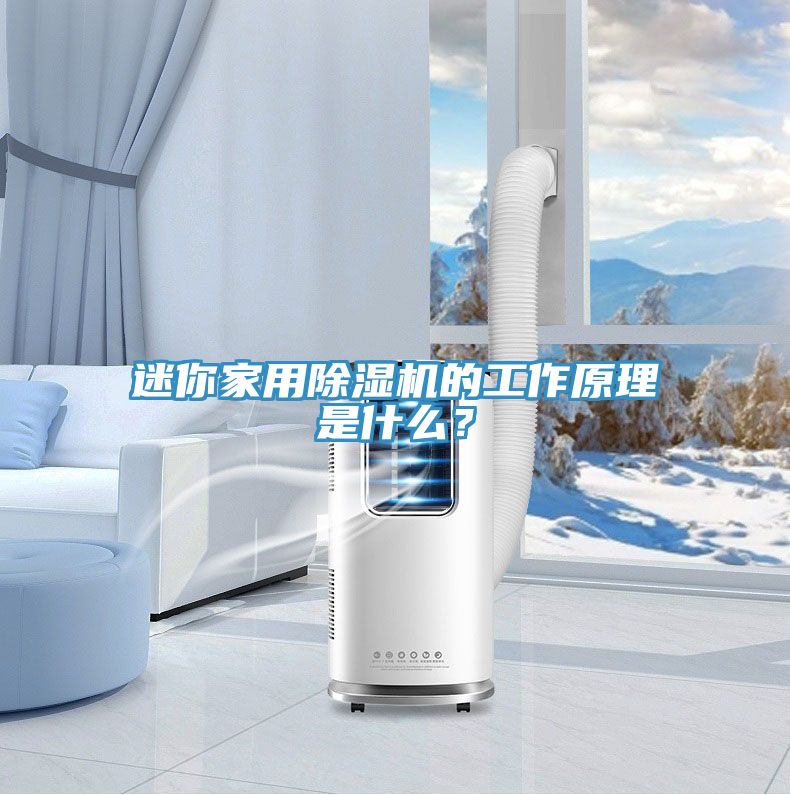 亚洲人成综合第一网站 迷你家用除湿机的工作原理是什么？
