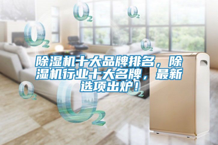 亚洲人成综合第一网站 除湿机十大品牌排名，除湿机行业十大名牌，最新选项出炉！