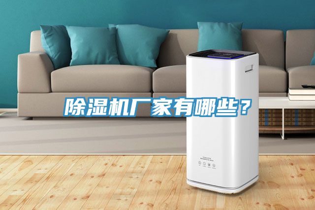 亚洲欧美一级特黄大片 除湿机厂家有哪些？