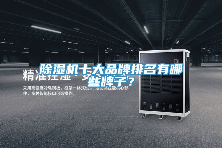 亚洲欧美一级特黄大片 除湿机十大品牌排名有哪些牌子？