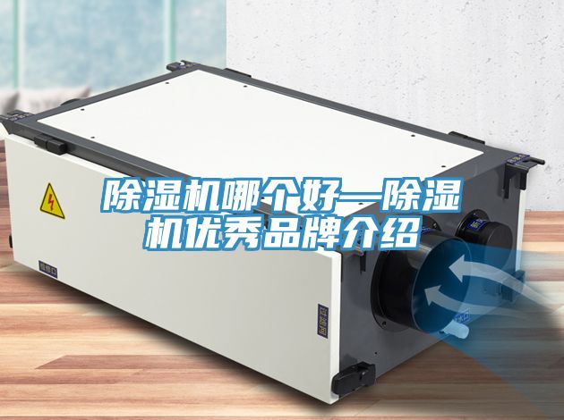 亚洲欧美一级特黄大片 除湿机哪个好—除湿机优秀品牌介绍