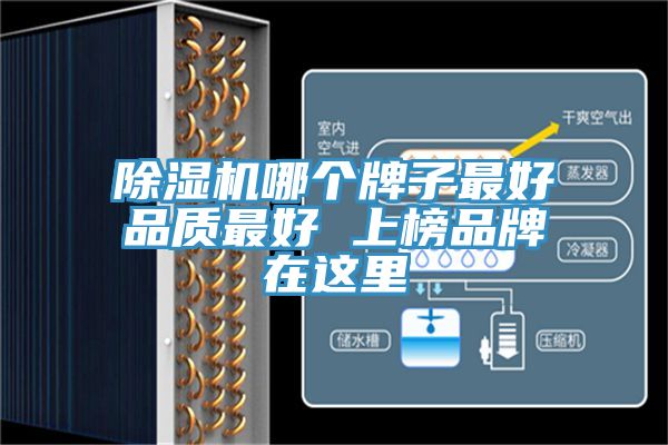 亚洲乱码一区二区三区 除湿机哪个牌子最好品质最好 上榜品牌在这里